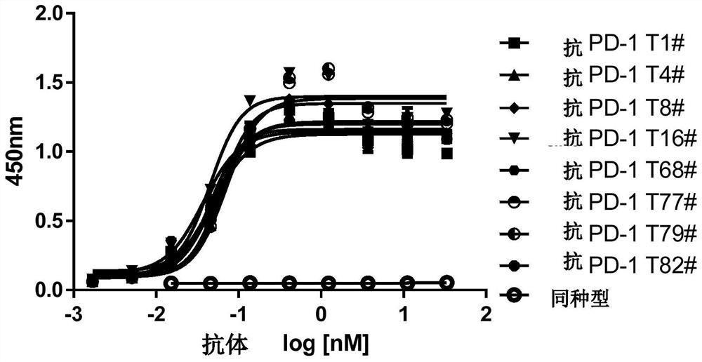 Bispecific antibody targeting HER2 and PD-1 and application thereof