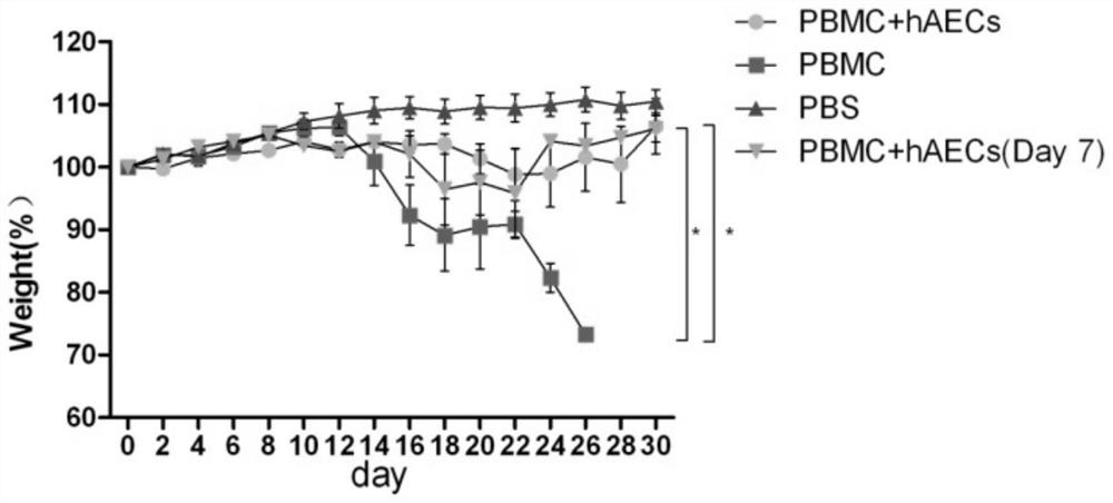 Use of human amniotic epithelial cells in the treatment of graft-versus-host disease