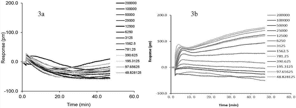 Compound, hydroxycholine M receptor antagonist, composition and application of saturated heterocyclic nitrogen containing caffeic acid derivative in preparing toadin M receptor antagonist