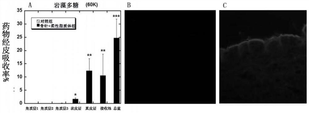 A kind of transdermal absorption composition and its application in the preparation of transdermal absorption preparation