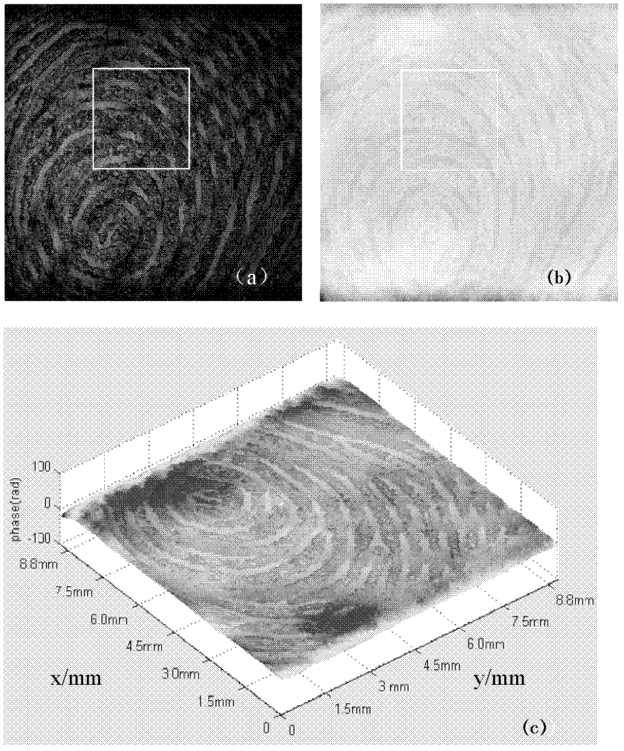 Reflective digital holographic fingerprint imaging device