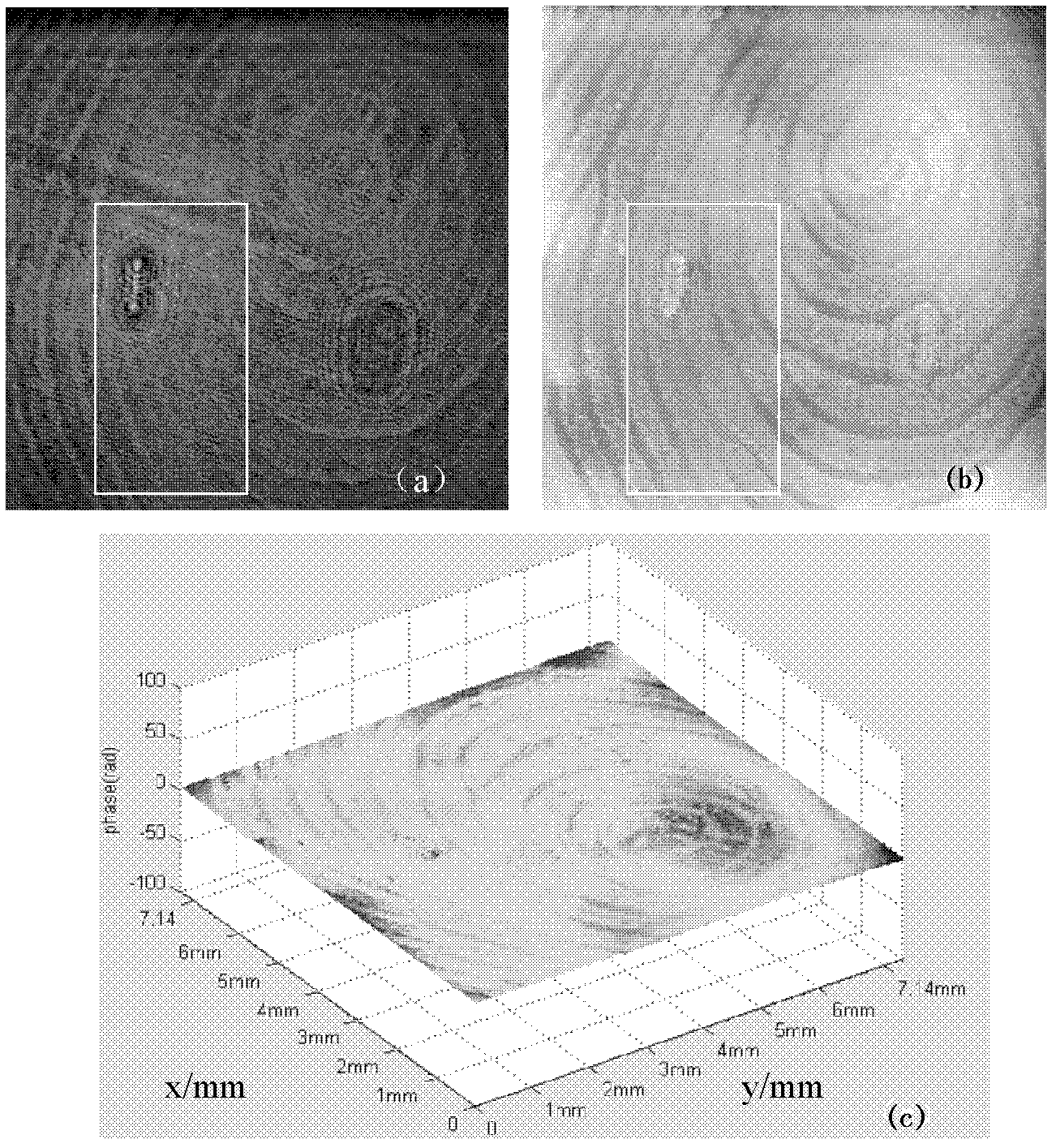 Reflective digital holographic fingerprint imaging device