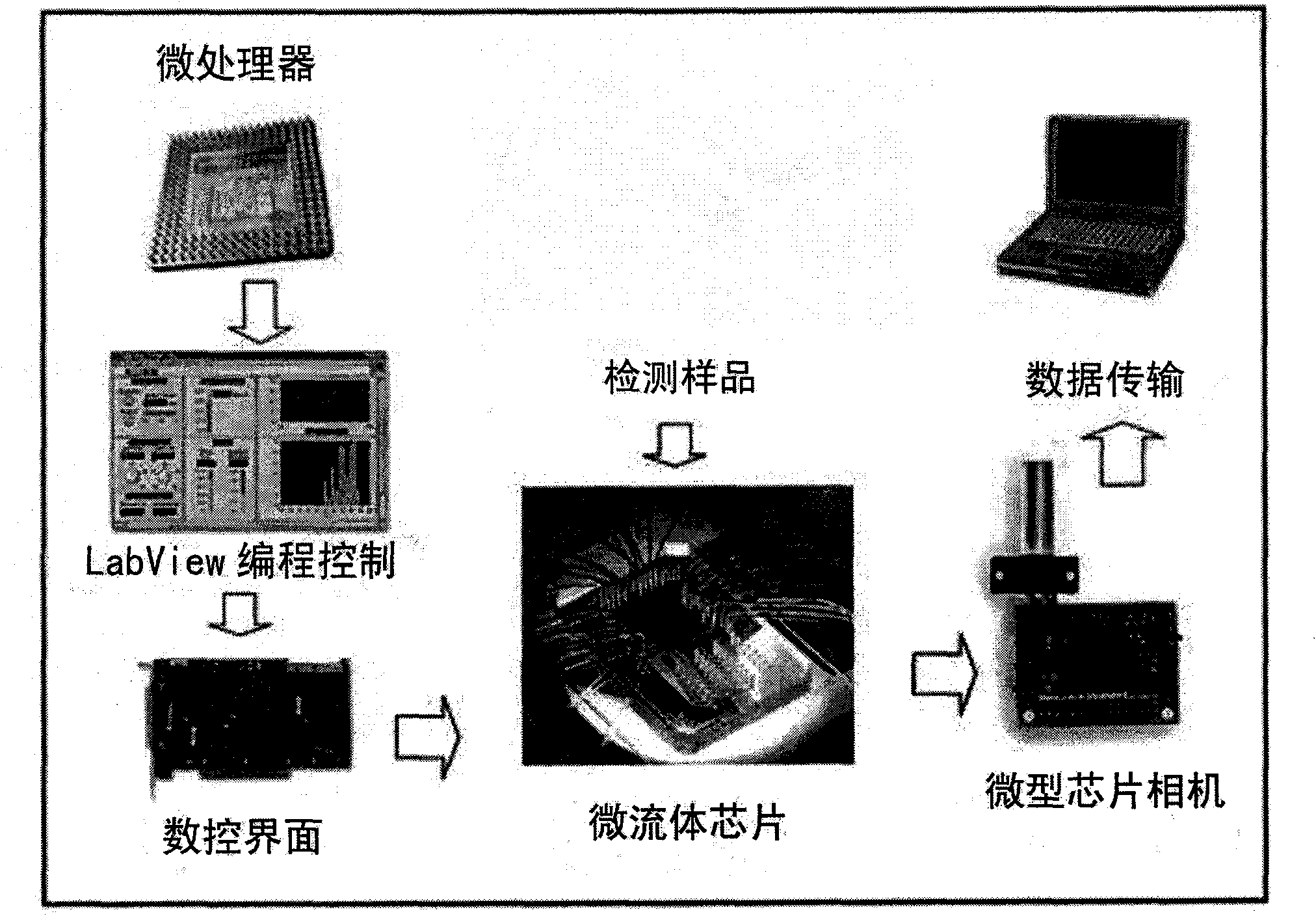 Microfluidic chip for cotinine quick detection and preparation method thereof