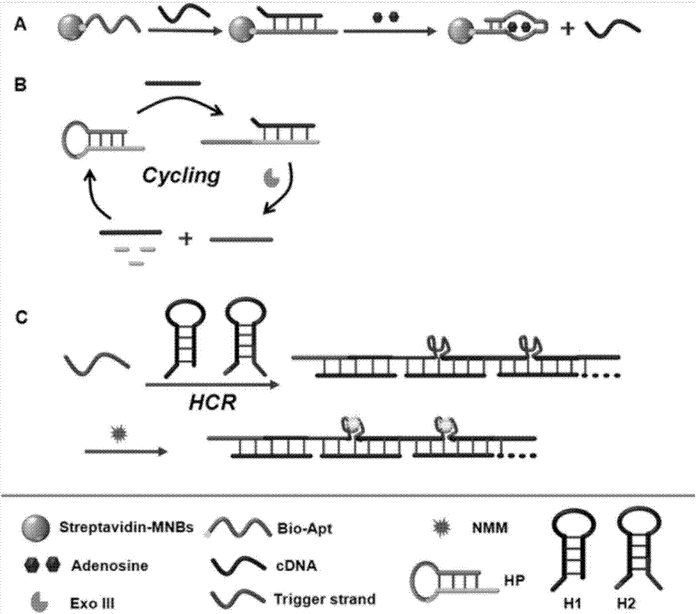 Detection of Adenosine by Label-free Fluorescent Aptamer Sensor Based on Dual Amplification Strategy