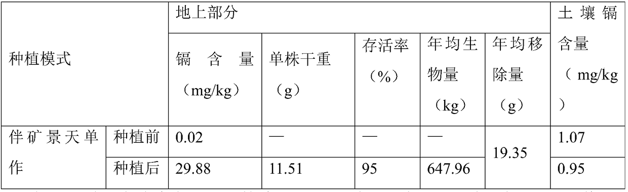 Method for remedying heavy metal cadmium contamination in soil