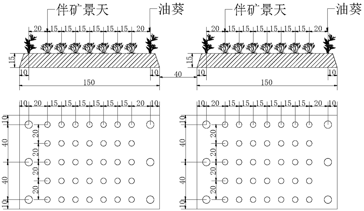 Method for remedying heavy metal cadmium contamination in soil