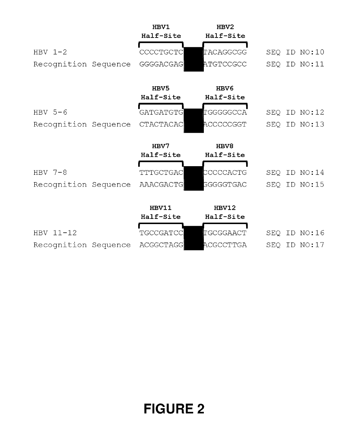 Engineered meganucleases specific for recognition sequences in the hepatitis b virus genome