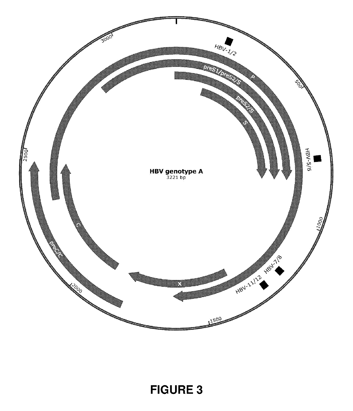 Engineered meganucleases specific for recognition sequences in the hepatitis b virus genome