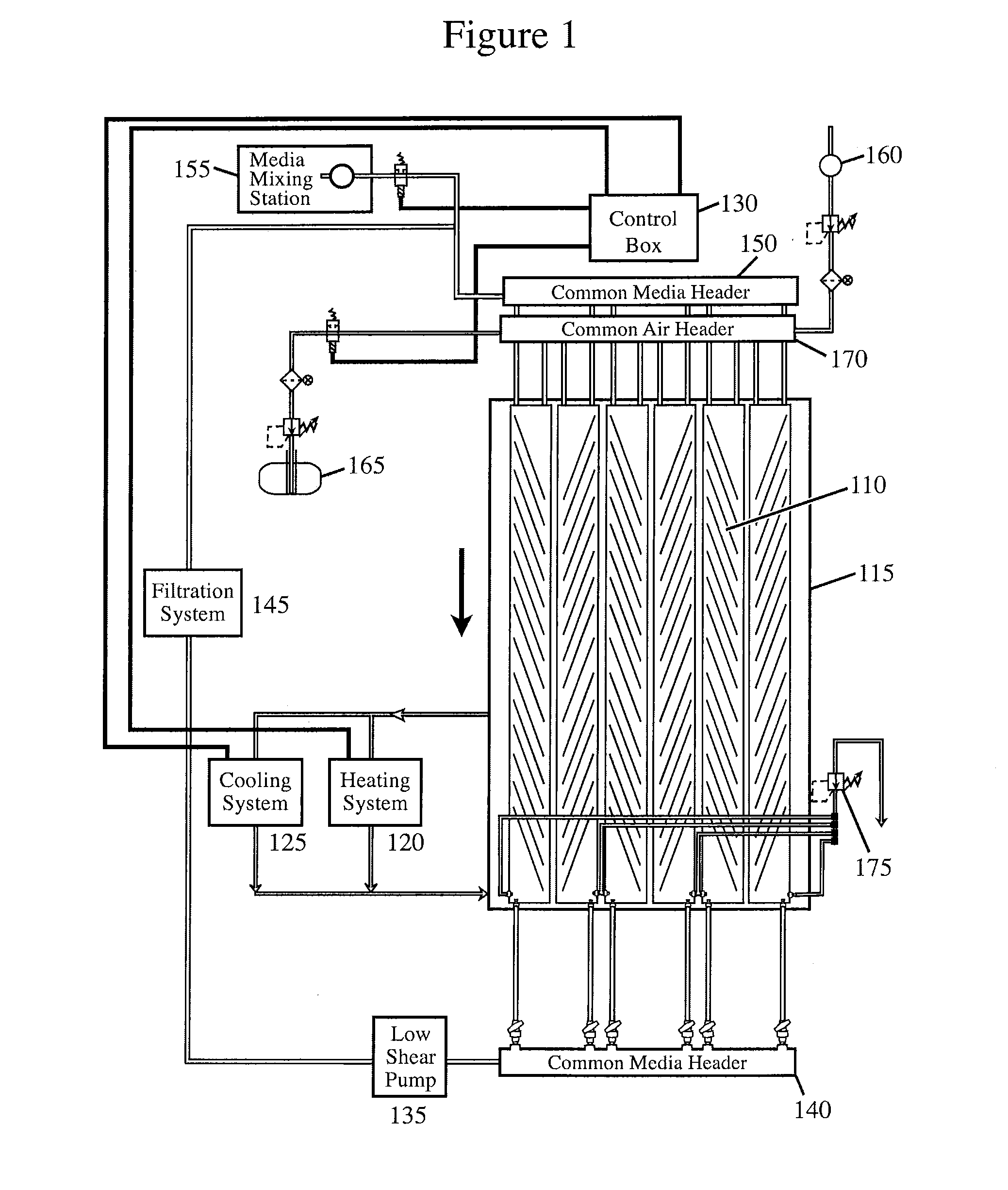 Diffuse Light Extended Surface Area Water-Supported Photobioreactor