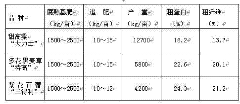 Rotation method of warm-season forage grass in hilly red soil region