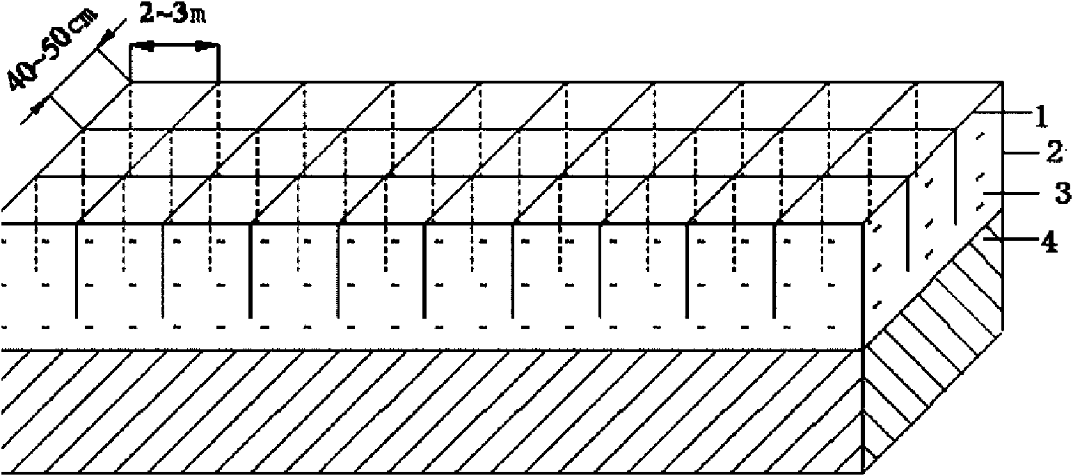 Soft soil foundation treatment reinforcement method and device thereof