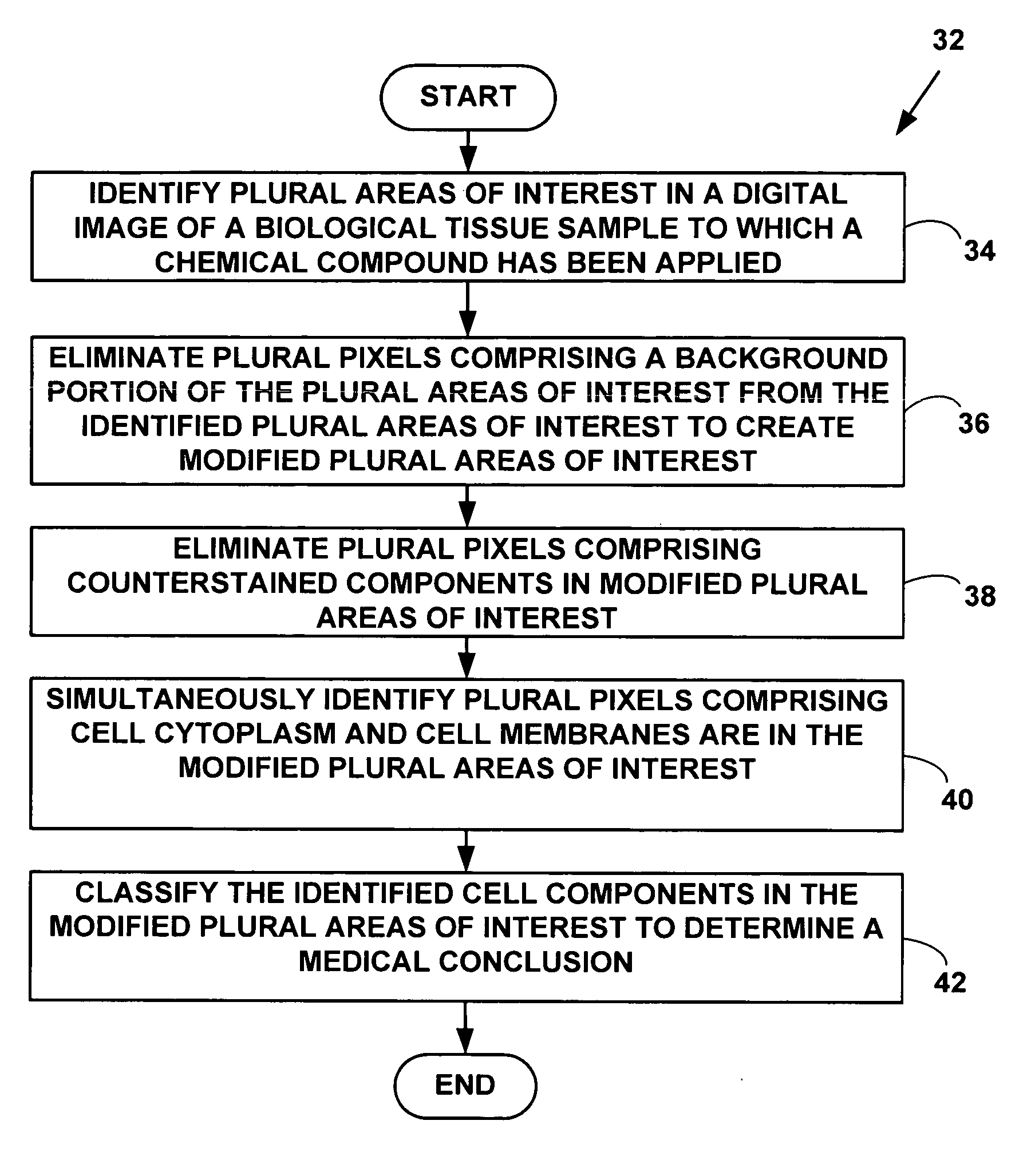 Method and system for digital image based tissue independent simultaneous nucleus cytoplasm and membrane quantitation