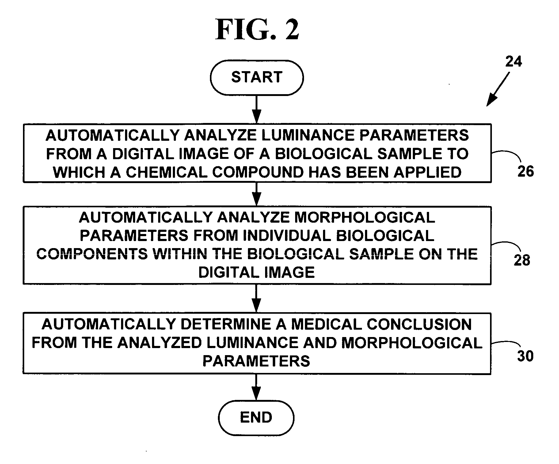 Method and system for digital image based tissue independent simultaneous nucleus cytoplasm and membrane quantitation