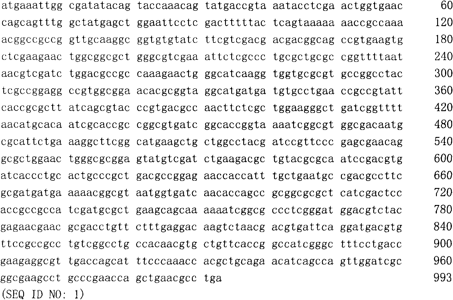 Genes of D-lactic dehydrogenase from serratia marcescens and research of cloning and expressing recombinant strains and recombinant enzymes