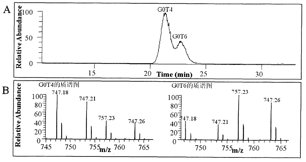 A method for degrading, obtaining and detecting chondroitin sulfate and hyaluronic acid disaccharide