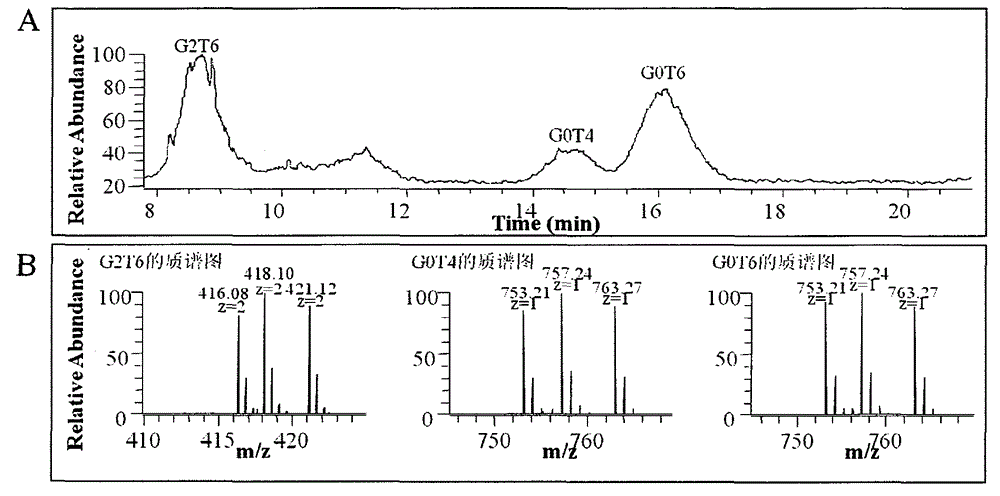 A method for degrading, obtaining and detecting chondroitin sulfate and hyaluronic acid disaccharide