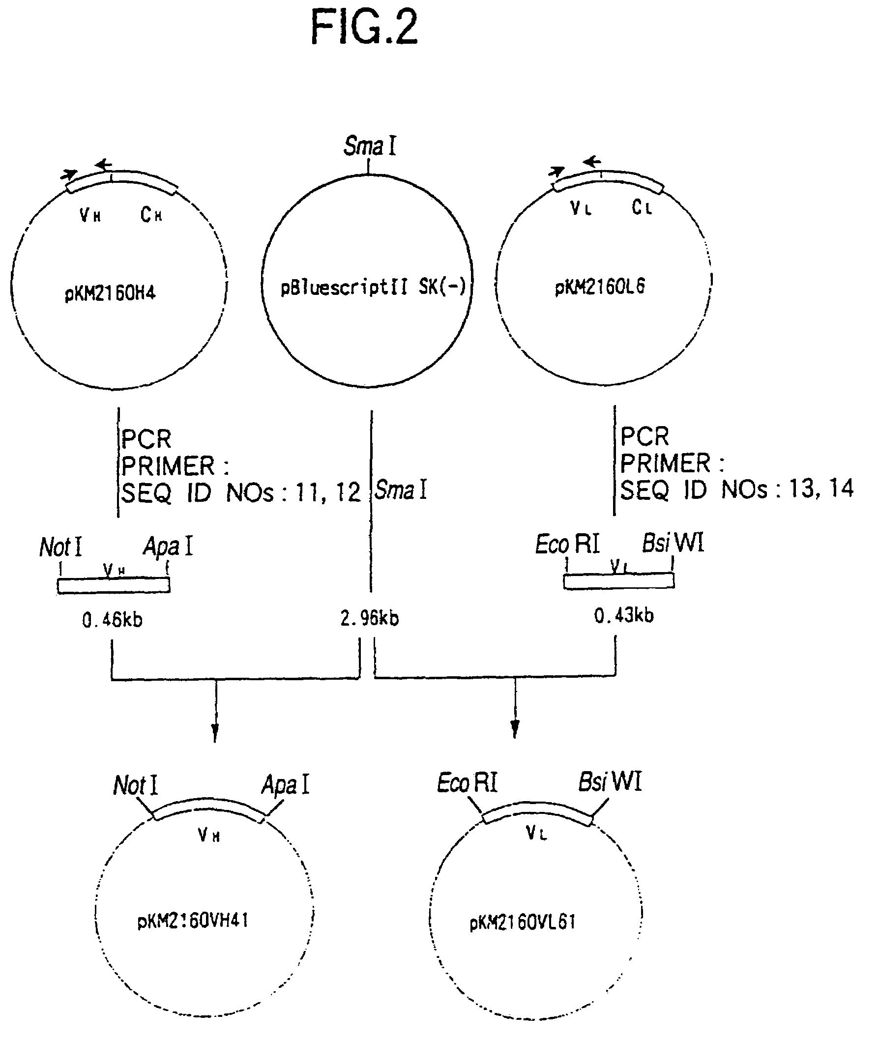 Method for treating Th2-mediated disease