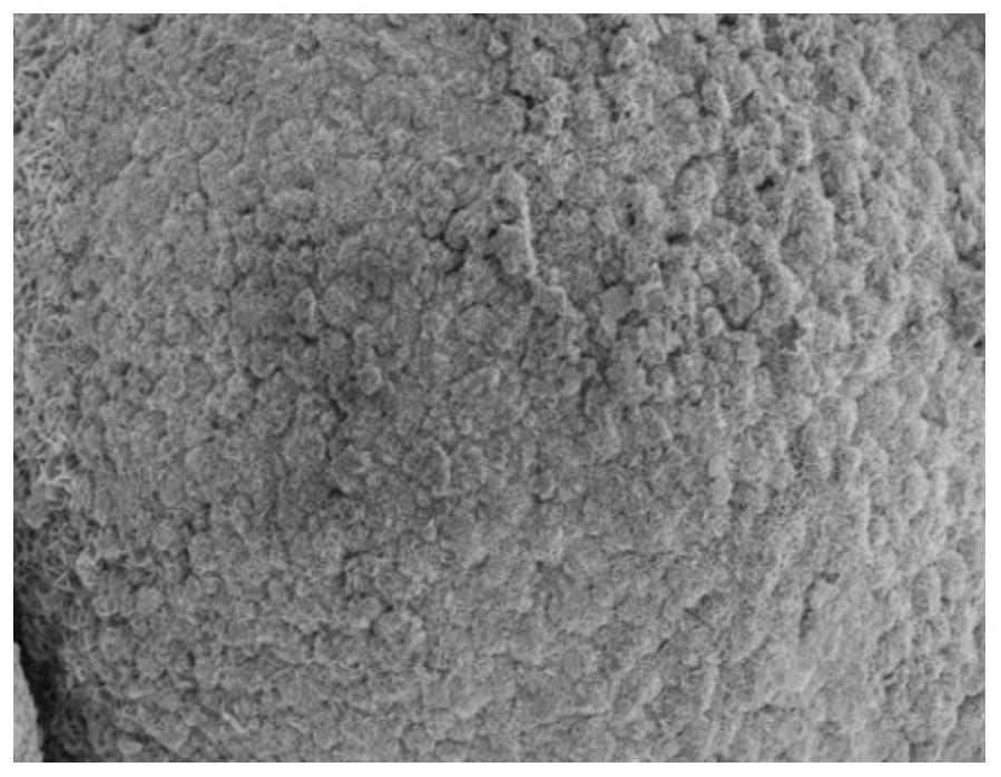 Modified nickel cobalt lithium aluminate positive electrode material and its preparation method and application