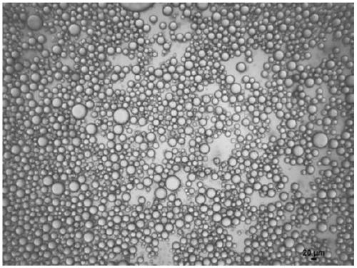 Method for preparing pickering emulsion by using modified nanocellulose