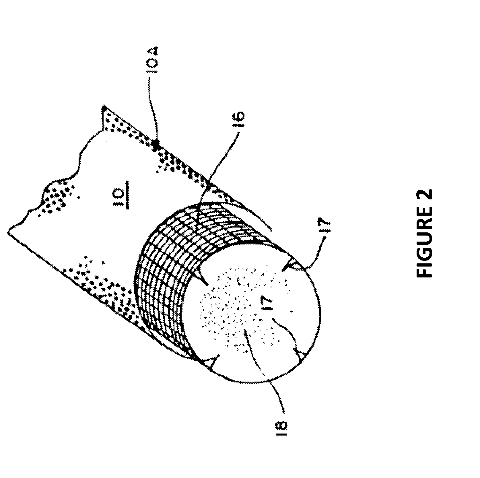 Compositions for enhancing pollination and methods for using same