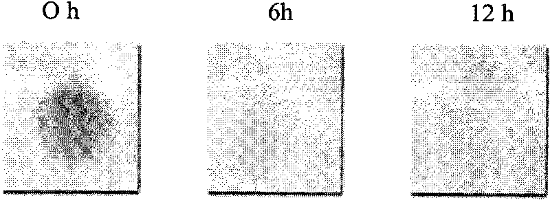 Preparation method of wool self-cleaning fabrics