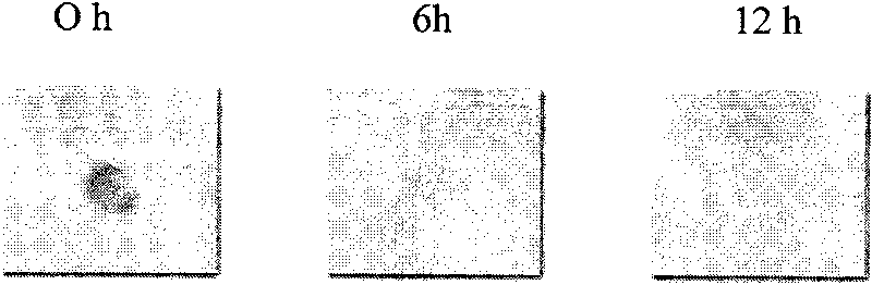 Preparation method of wool self-cleaning fabrics