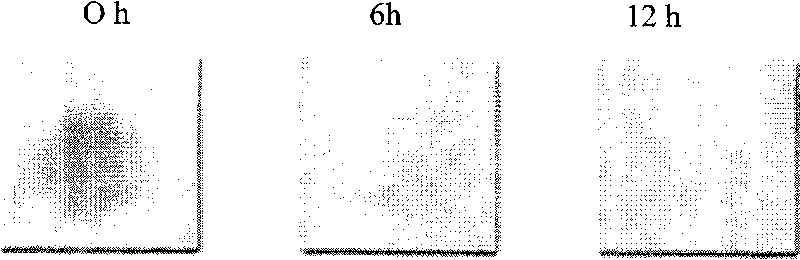 Preparation method of wool self-cleaning fabrics