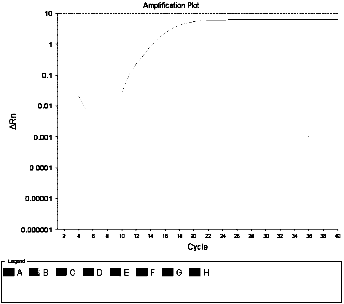 Primer probe combination and kit for combined inspection of 15 kinds of respiratory tract infection pathogens