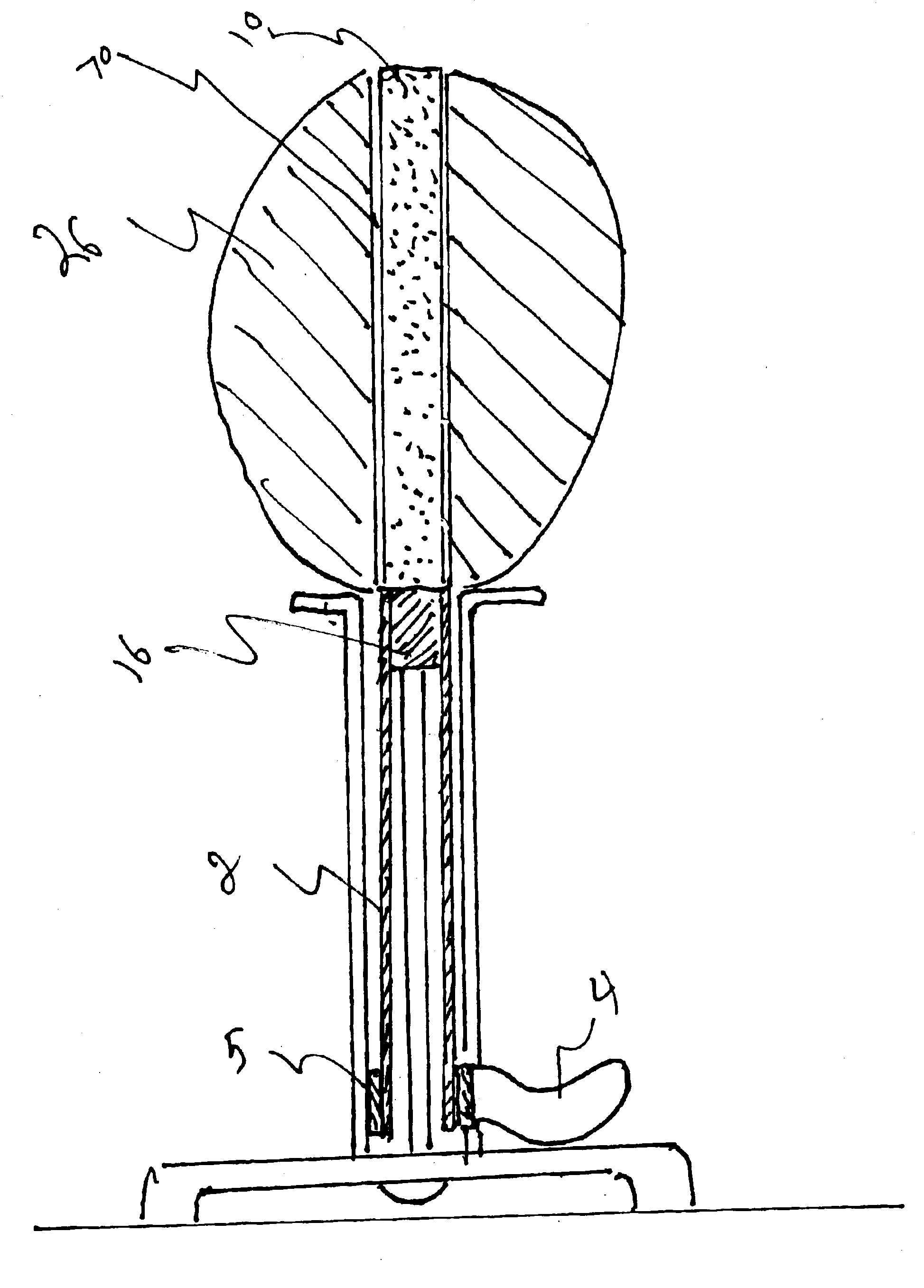 Food injection device