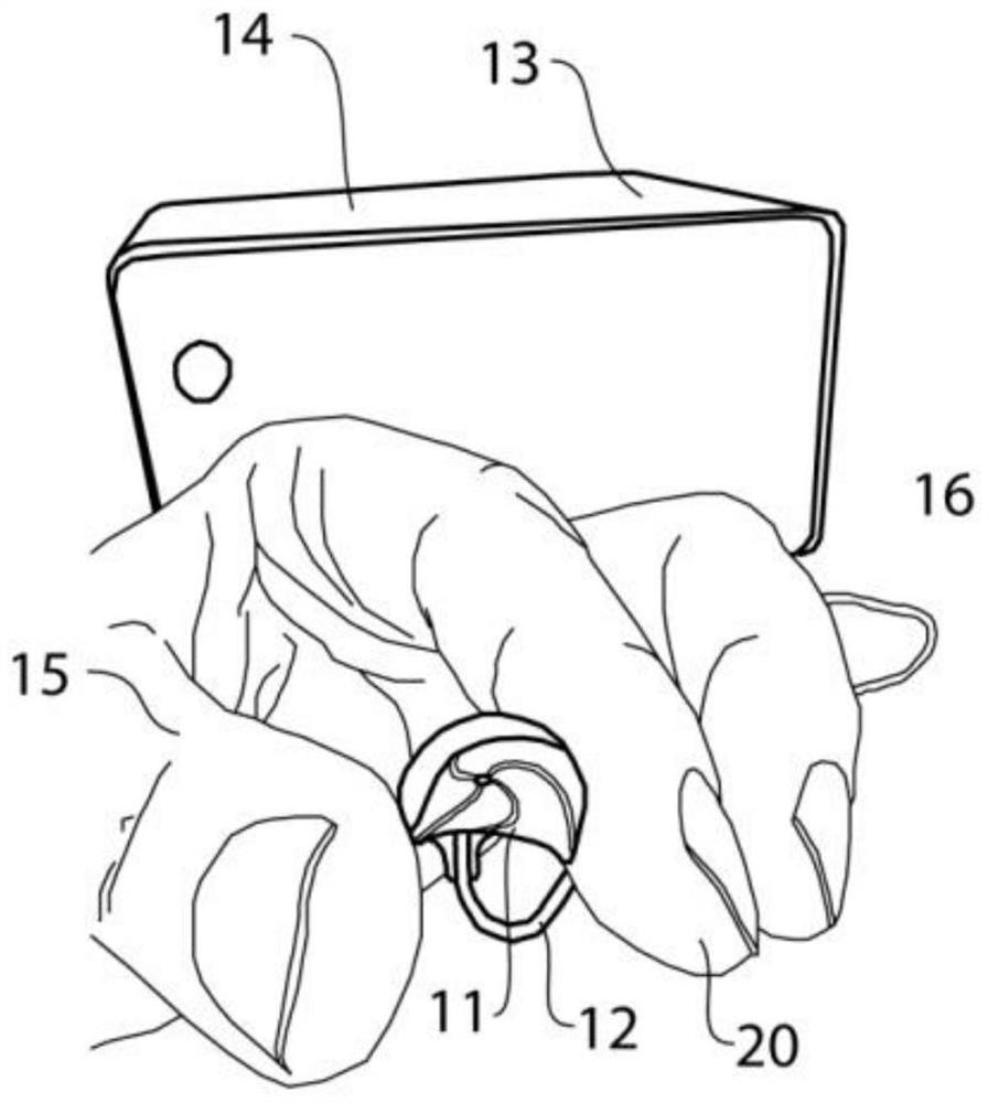 System and method for rapid blood gas monitoring