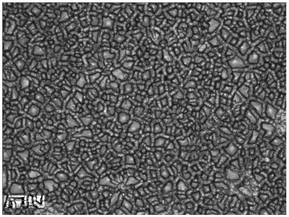 Preparation method of diffuse reflection colored glass