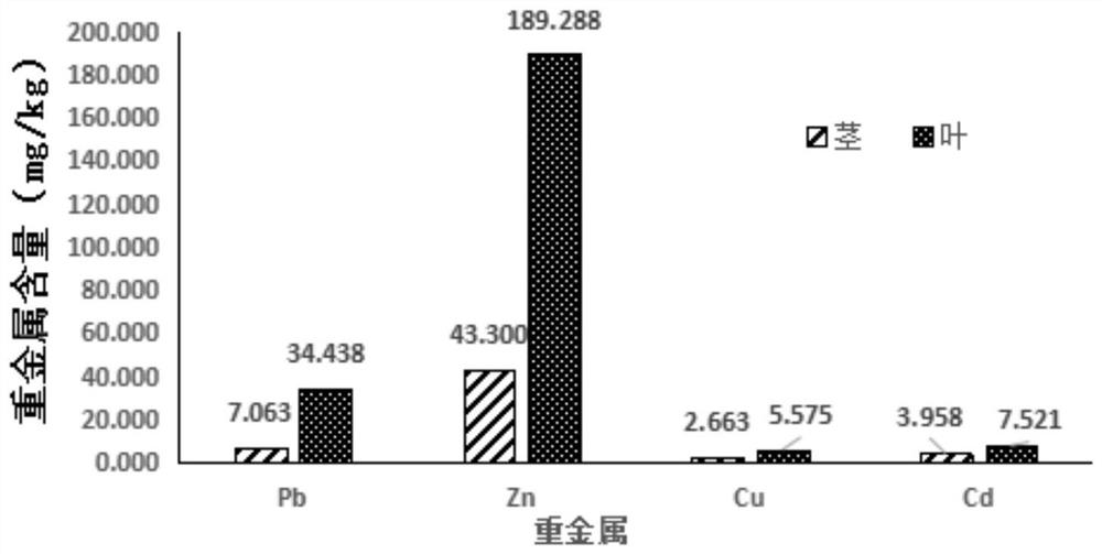 A method of using stevia to remediate heavy metal polluted soil