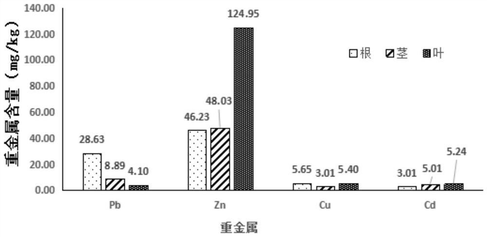 A method of using stevia to remediate heavy metal polluted soil