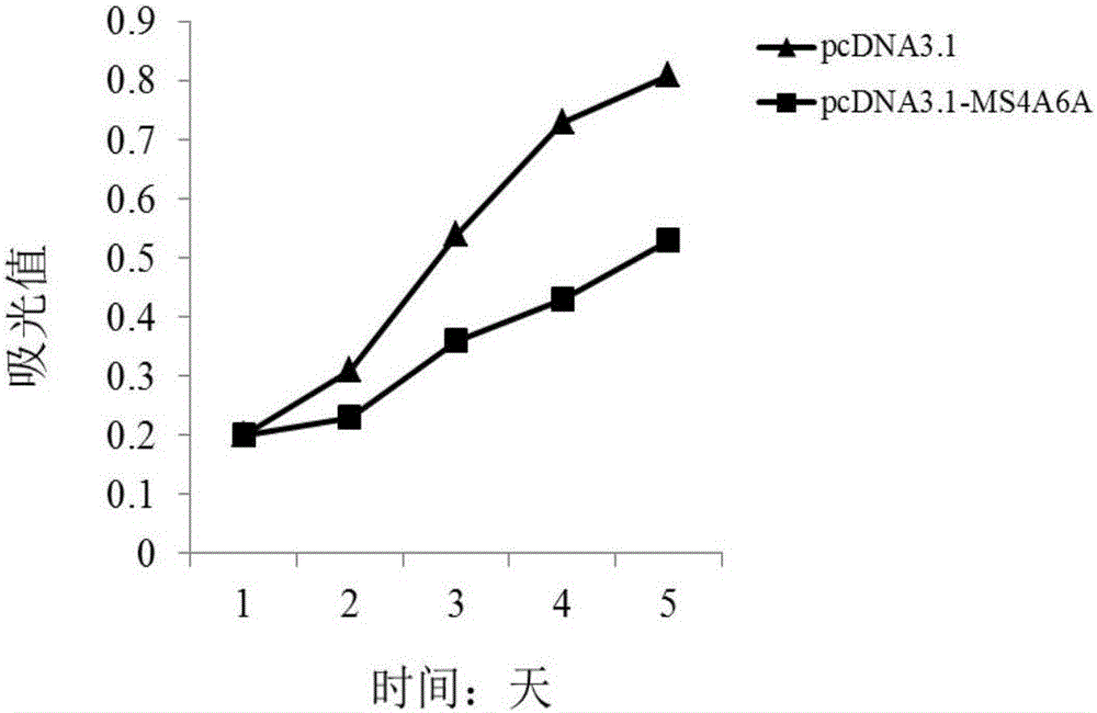 Application of MS4A6A serving as multiple myeloma diagnosis and treatment marker