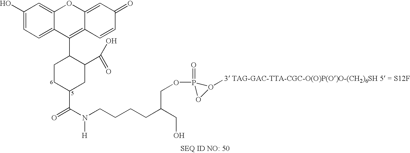 Nanoparticles having oligonucleotides attached thereto and uses therefor