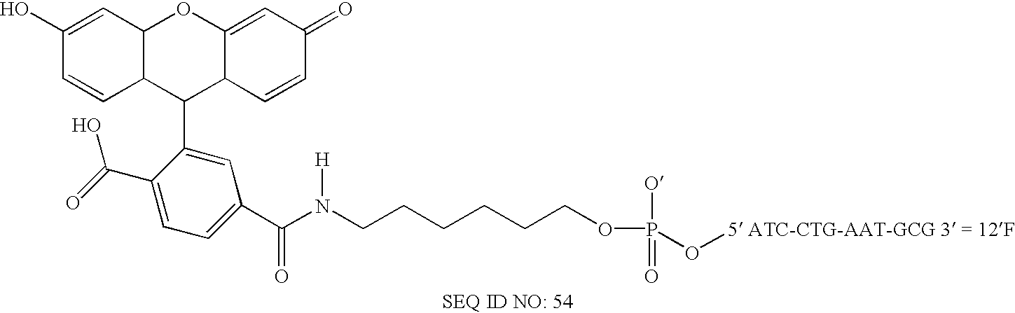 Nanoparticles having oligonucleotides attached thereto and uses therefor