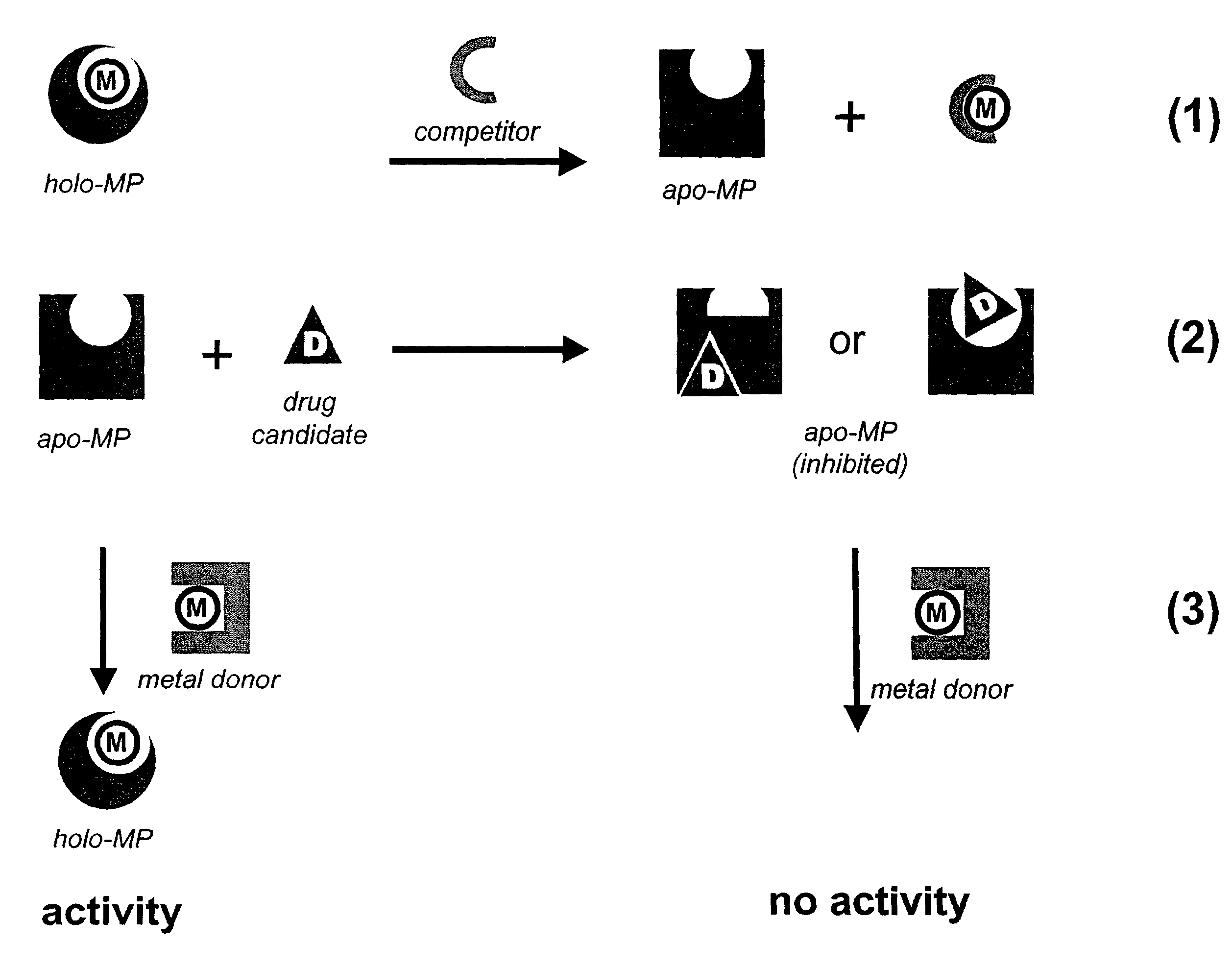 Compositions and Methods of Screening Apoproteins