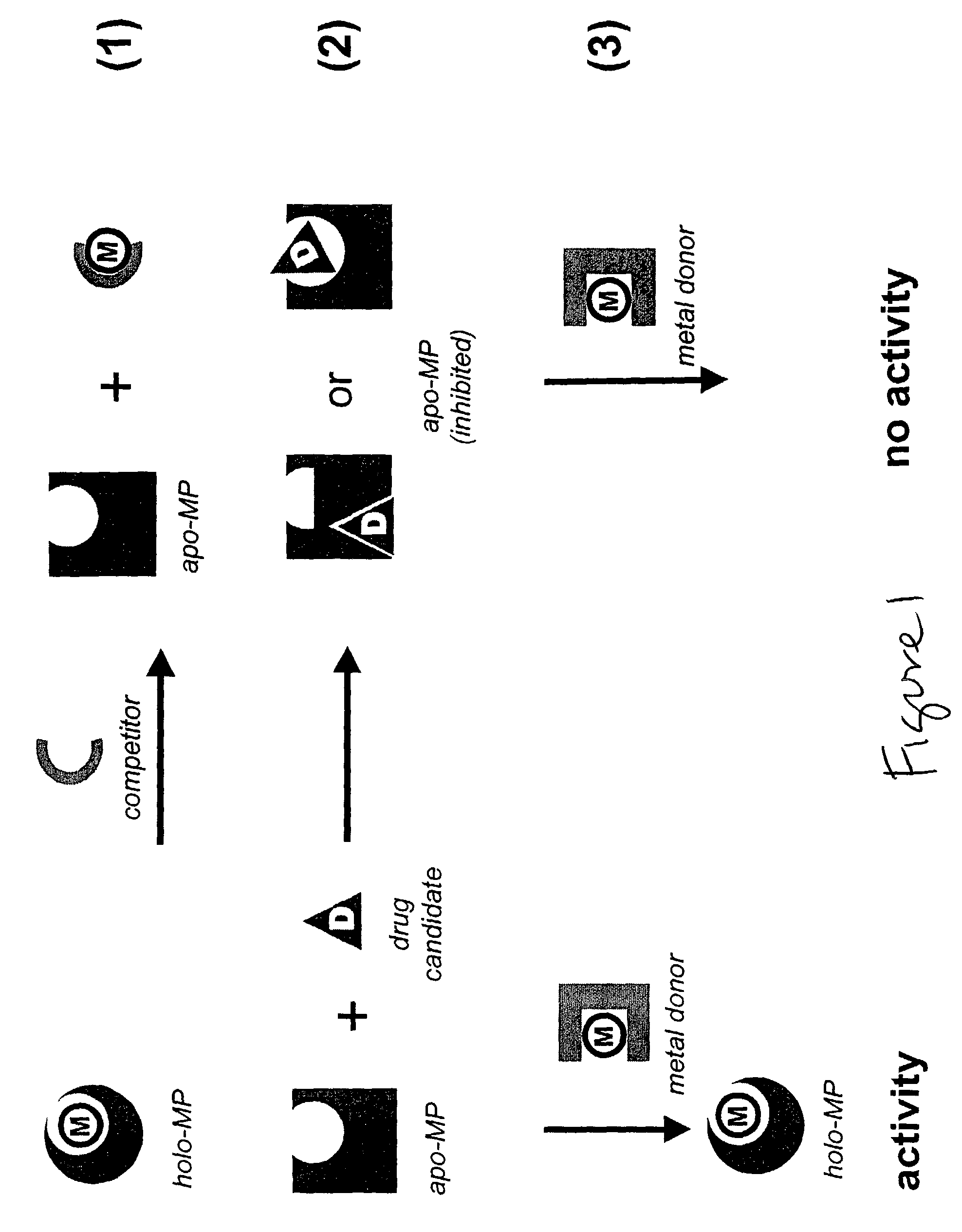 Compositions and Methods of Screening Apoproteins