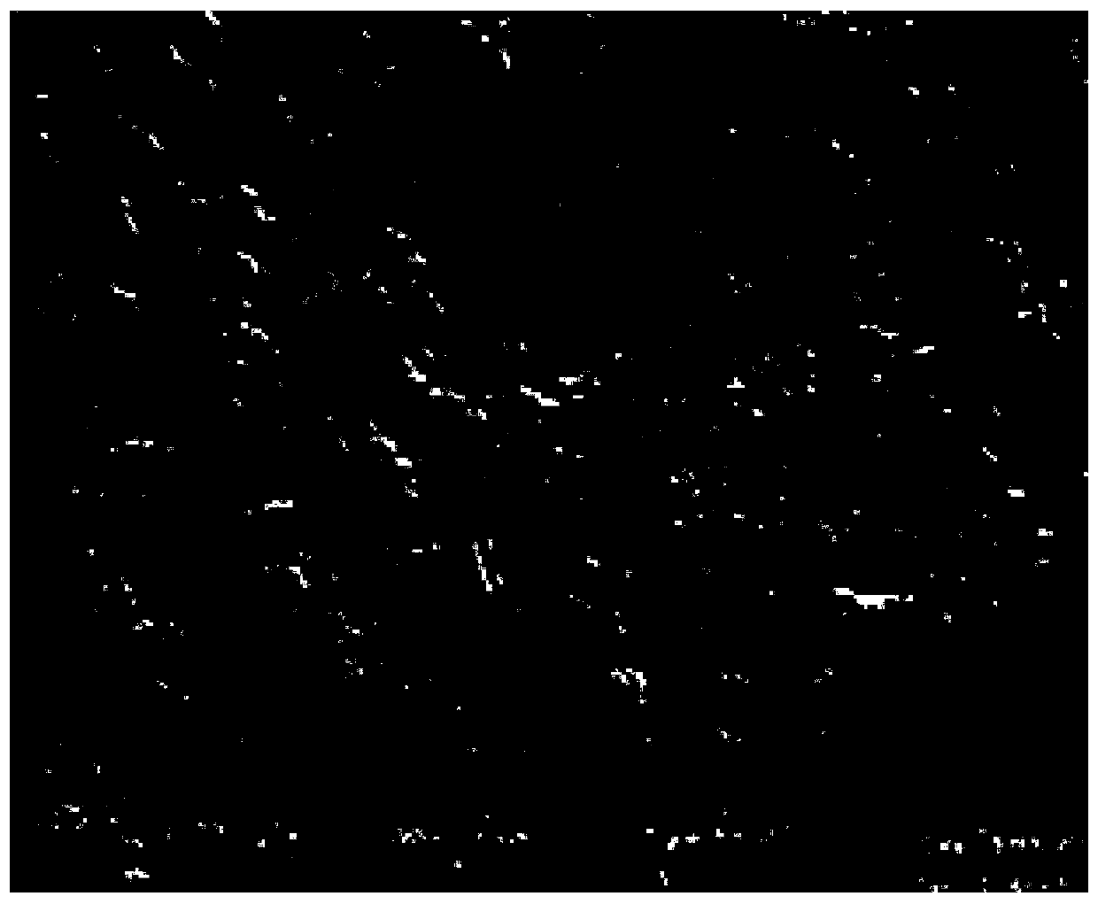 A kind of polyoxymethylene/polylactic acid SERS polymer substrate and its preparation method and application