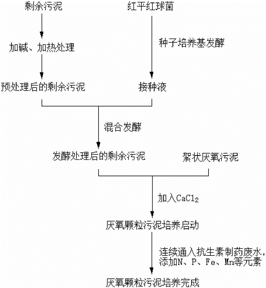 Method for rapidly culturing anaerobic granular sludge applicable to pharmaceutical wastewater treatment