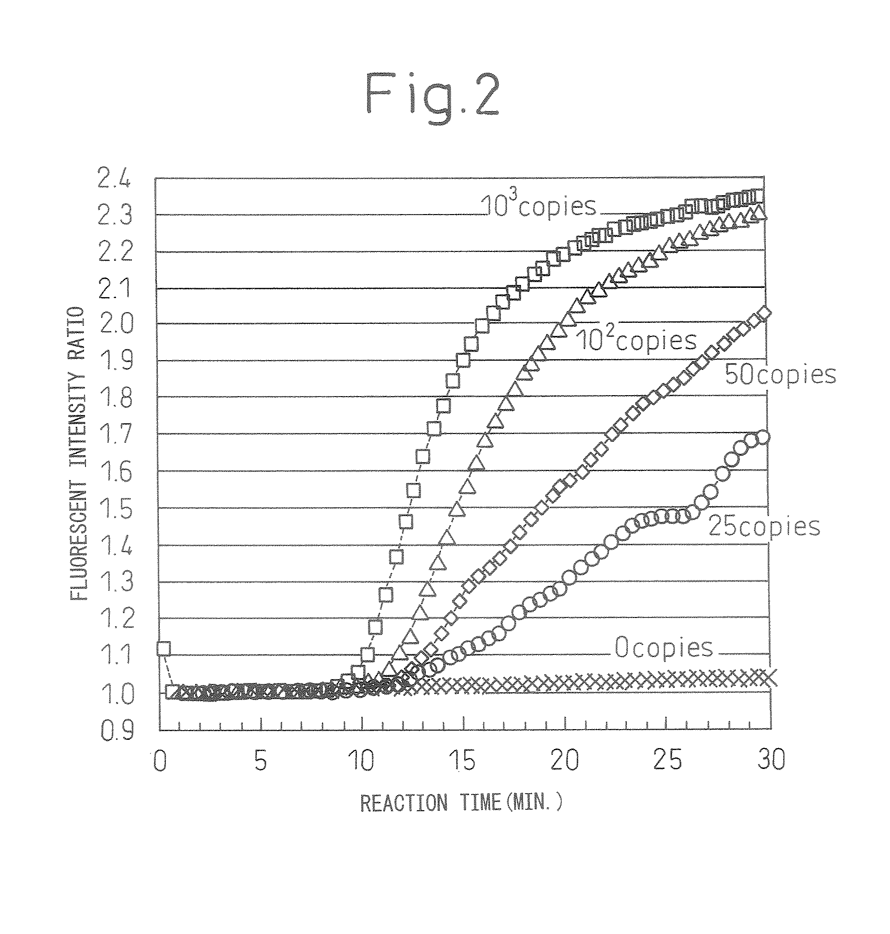 Method Of Measuring Heterogeneous Nuclear Ribonucleoprotein B1 (Hnrnp B1) Mrna