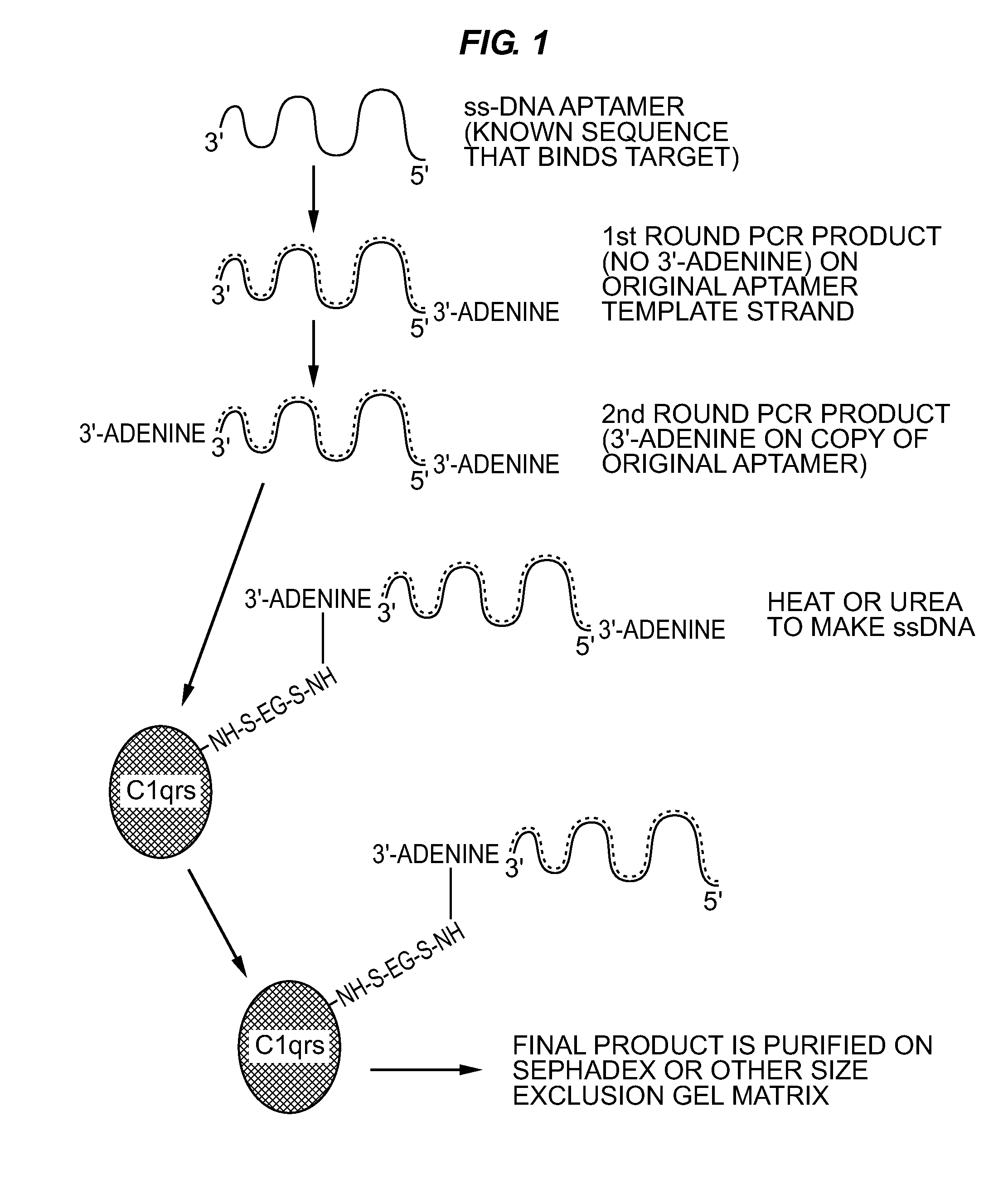 Therapeutic nucleic acid-3'-conjugates