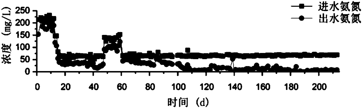 Plug flow reaction device for stable operation of nitrosation-anaerobic ammoxidation technology, and method thereof