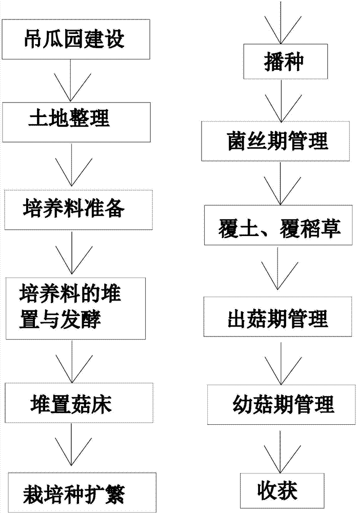 Method for cultivating stropharia rugoso-annulata in snake gourd garden