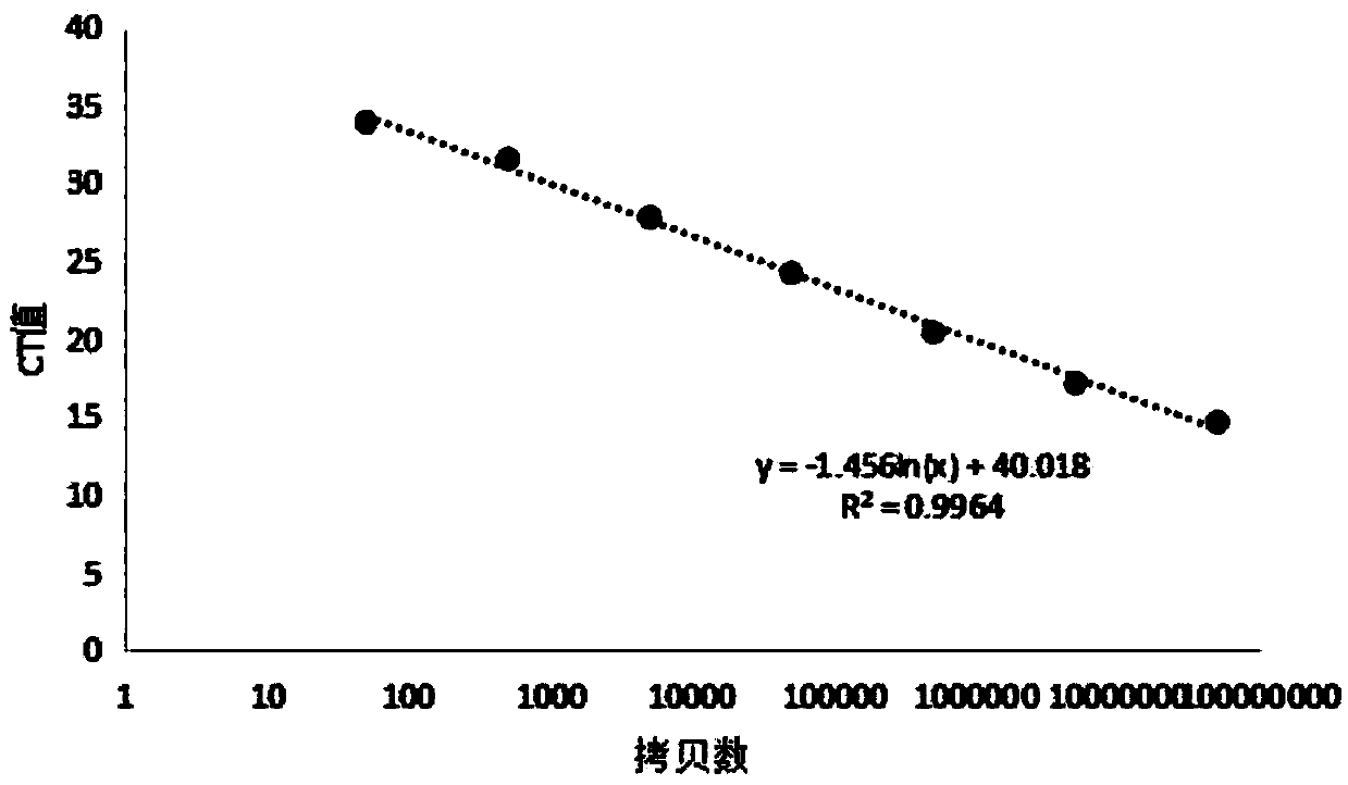 Primer pair and kit for rapidly detecting mycoplasma and application of primer pair and kit