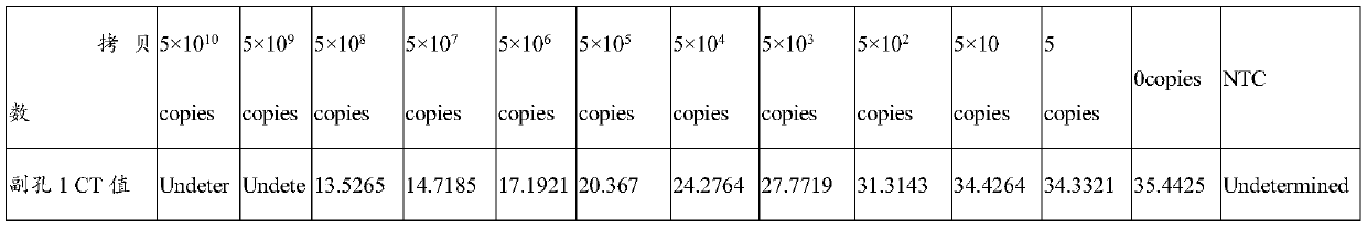 Primer pair and kit for rapidly detecting mycoplasma and application of primer pair and kit