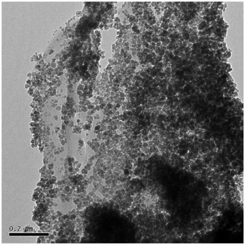 Calcium zinc phosphate/bagasse composite anti-corrosion pigment and preparation method thereof