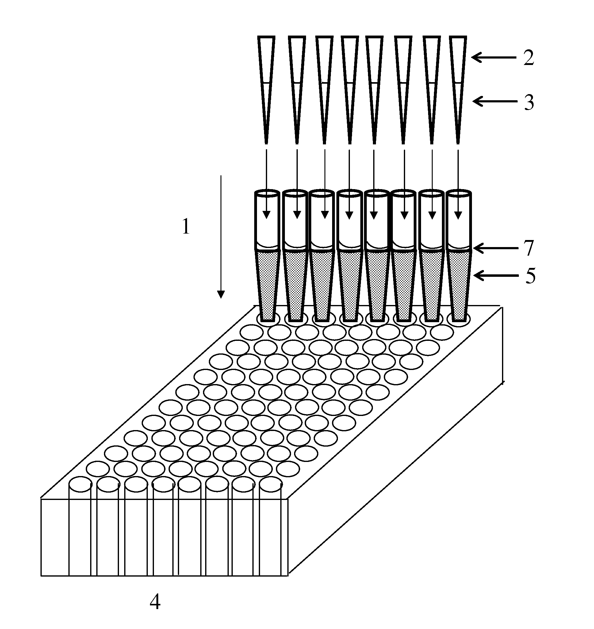 Method and Device for Gravity Flow Chromatography