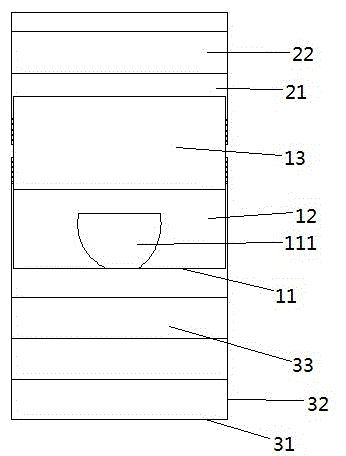 Drosophila capturing container with liquid trapping and killing agent