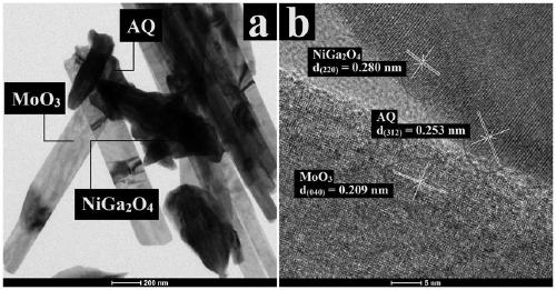 Novel photocatalyst NiGa2O4/AQ/MoO3 as well as preparation method and application thereof